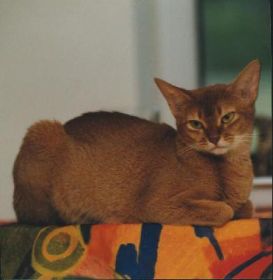 Ayla-1.jpg