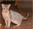 kat072s.jpg