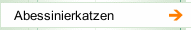 Abessinierkatzen