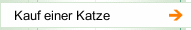 Kauf einer Katze