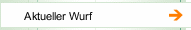 Aktueller Wurf